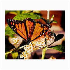 Monarch Butterfly Nature Orange Small Glasses Cloth by Amaryn4rt
