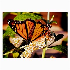 Monarch Butterfly Nature Orange Large Glasses Cloth