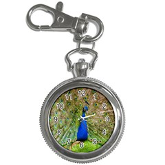 Peacock Animal Photography Beautiful Key Chain Watches