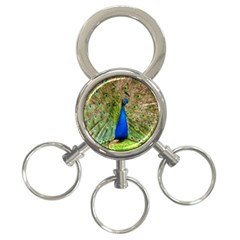 Peacock Animal Photography Beautiful 3-Ring Key Chains