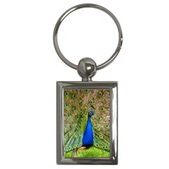 Peacock Animal Photography Beautiful Key Chains (Rectangle) 