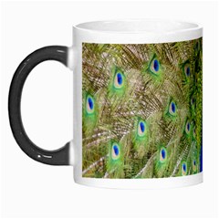 Peacock Animal Photography Beautiful Morph Mugs by Amaryn4rt