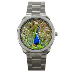 Peacock Animal Photography Beautiful Sport Metal Watch