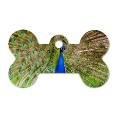 Peacock Animal Photography Beautiful Dog Tag Bone (One Side)