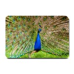 Peacock Animal Photography Beautiful Small Doormat  24 x16  Door Mat