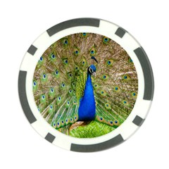 Peacock Animal Photography Beautiful Poker Chip Card Guard (10 pack)