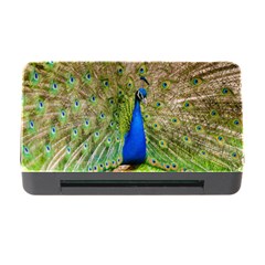 Peacock Animal Photography Beautiful Memory Card Reader with CF