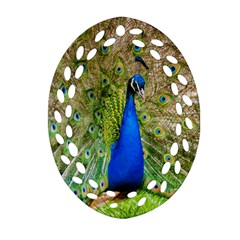 Peacock Animal Photography Beautiful Ornament (Oval Filigree)