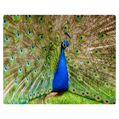 Peacock Animal Photography Beautiful Double Sided Flano Blanket (Medium) 