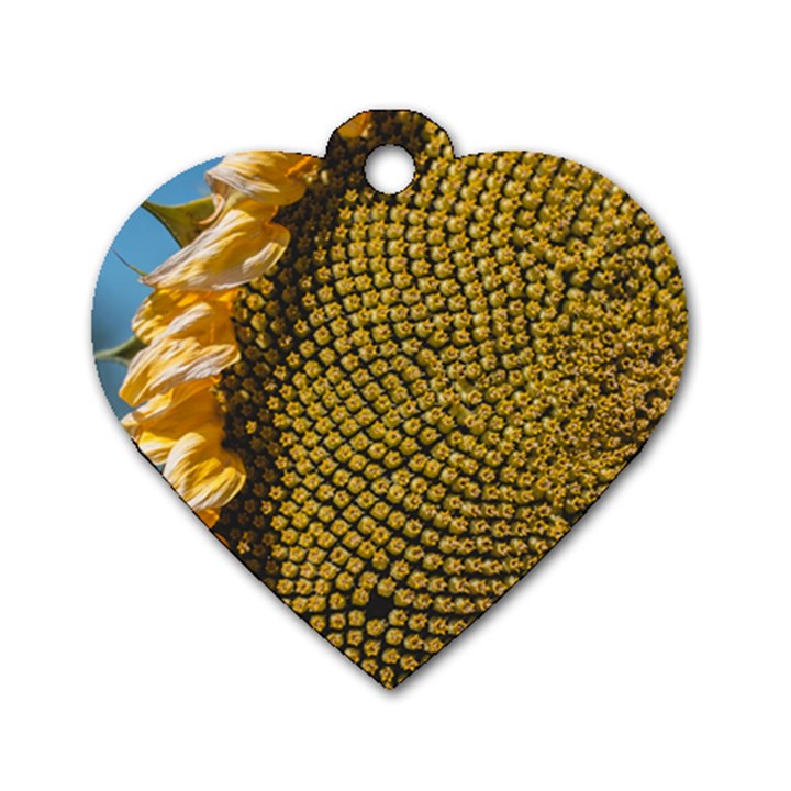 Sunflower Bright Close Up Color Disk Florets Dog Tag Heart (One Side)