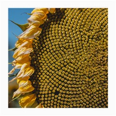 Sunflower Bright Close Up Color Disk Florets Medium Glasses Cloth (2-side) by Amaryn4rt