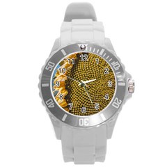 Sunflower Bright Close Up Color Disk Florets Round Plastic Sport Watch (l) by Amaryn4rt