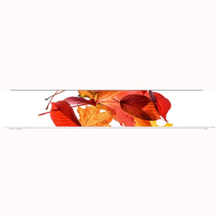 Autumn Leaves Leaf Transparent Small Bar Mats