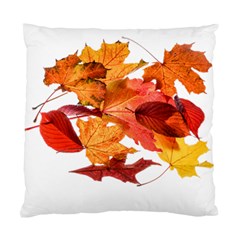 Autumn Leaves Leaf Transparent Standard Cushion Case (two Sides)