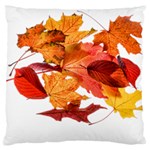 Autumn Leaves Leaf Transparent Large Cushion Case (One Side) Front