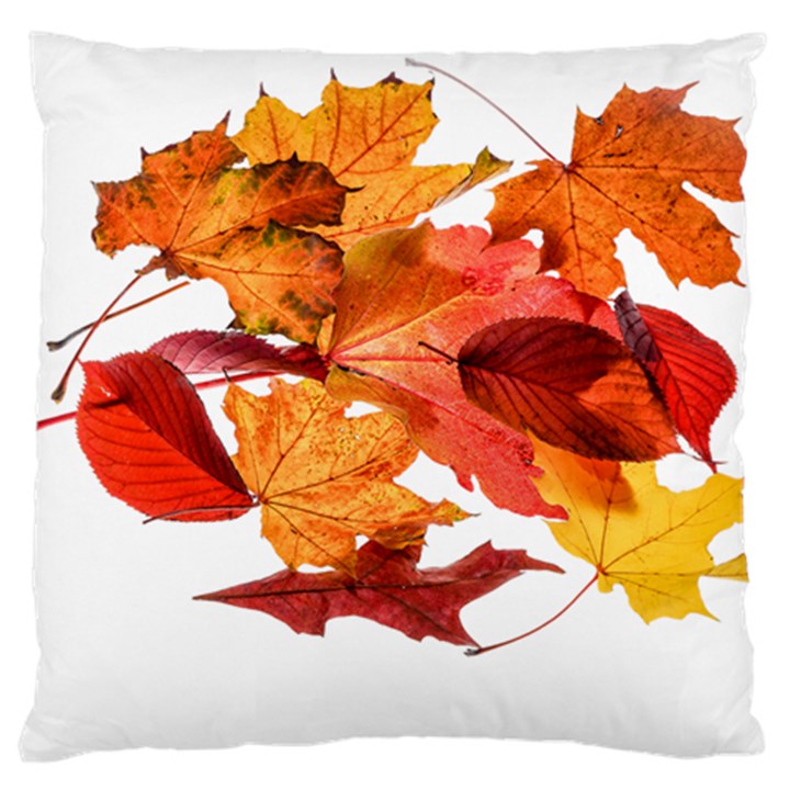 Autumn Leaves Leaf Transparent Large Cushion Case (One Side)