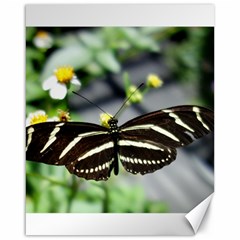Butterfly #22 Canvas 16  X 20   by litimages