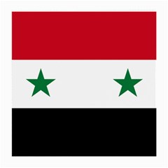 Flag Of Syria Medium Glasses Cloth