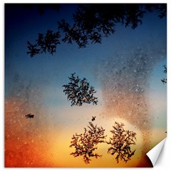 Hardest Frost Winter Cold Frozen Canvas 20  X 20   by Amaryn4rt