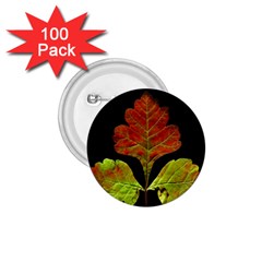 Autumn Beauty 1 75  Buttons (100 Pack) 