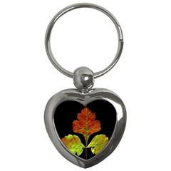 Autumn Beauty Key Chains (heart)  by Nexatart