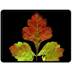 Autumn Beauty Double Sided Fleece Blanket (large)  by Nexatart