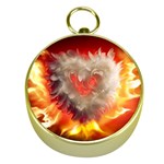 Arts Fire Valentines Day Heart Love Flames Heart Gold Compasses Front