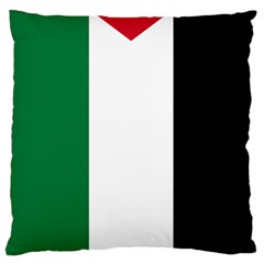 Palestine Flag Large Flano Cushion Case (one Side)