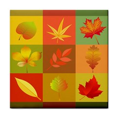 Autumn Leaves Colorful Fall Foliage Tile Coasters by Nexatart
