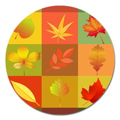 Autumn Leaves Colorful Fall Foliage Magnet 5  (round) by Nexatart