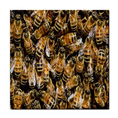 Honey Bee Water Buckfast Tile Coasters by Nexatart