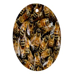 Honey Bee Water Buckfast Oval Ornament (two Sides) by Nexatart