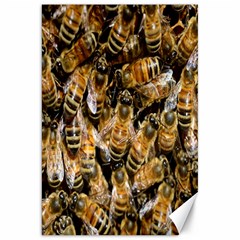 Honey Bee Water Buckfast Canvas 20  X 30   by Nexatart