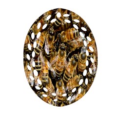 Honey Bee Water Buckfast Oval Filigree Ornament (two Sides) by Nexatart