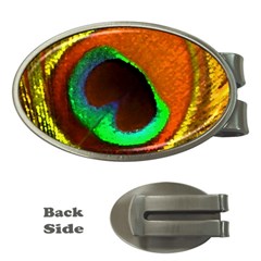 Peacock Feather Eye Money Clips (oval) 