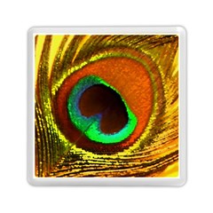 Peacock Feather Eye Memory Card Reader (square)  by Nexatart