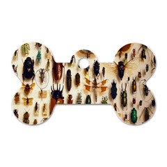 Insect Collection Dog Tag Bone (two Sides)