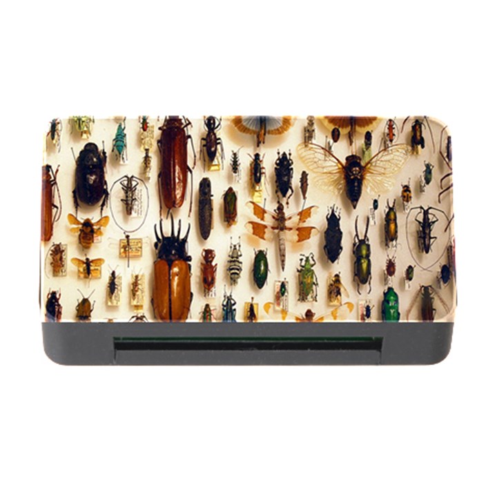 Insect Collection Memory Card Reader with CF