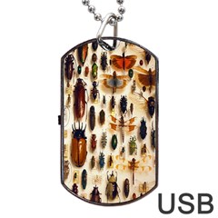 Insect Collection Dog Tag Usb Flash (one Side) by Nexatart