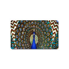 The Peacock Pattern Magnet (name Card)