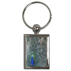 Peacock Four Spot Feather Bird Key Chains (rectangle)  by Nexatart