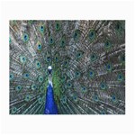 Peacock Four Spot Feather Bird Small Glasses Cloth (2-Side) Back