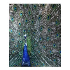 Peacock Four Spot Feather Bird Shower Curtain 60  X 72  (medium)  by Nexatart