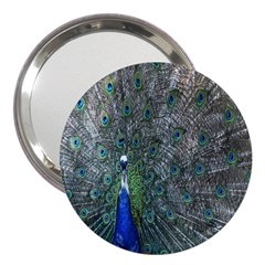 Peacock Four Spot Feather Bird 3  Handbag Mirrors by Nexatart