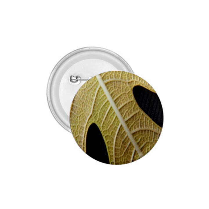 Yellow Leaf Fig Tree Texture 1.75  Buttons