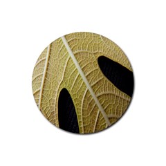 Yellow Leaf Fig Tree Texture Rubber Round Coaster (4 Pack)  by Nexatart