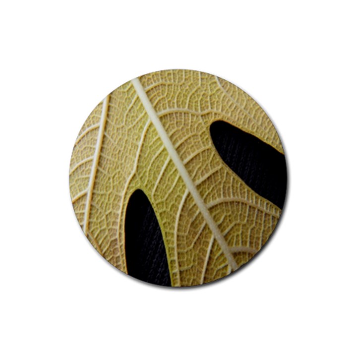 Yellow Leaf Fig Tree Texture Rubber Round Coaster (4 pack) 