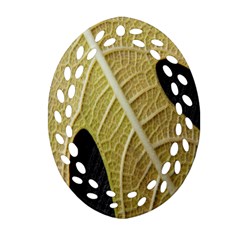 Yellow Leaf Fig Tree Texture Ornament (oval Filigree) by Nexatart