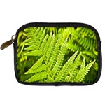 Fern Nature Green Plant Digital Camera Cases Front