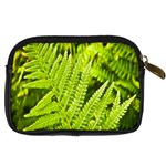 Fern Nature Green Plant Digital Camera Cases Back